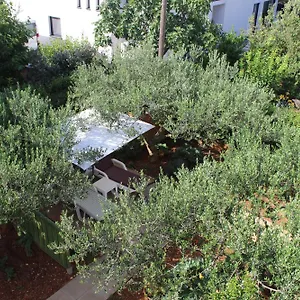 https://apartments-tea-zadar.hotelinzadar.com